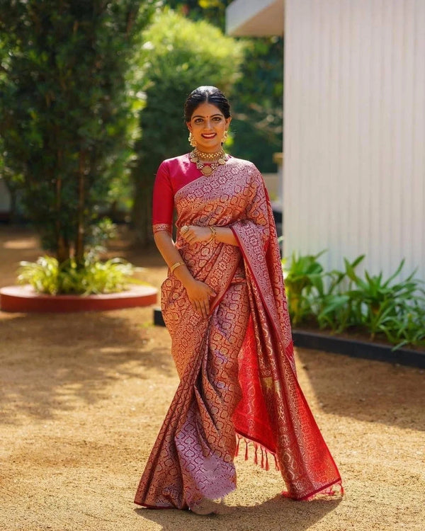 traditional saree